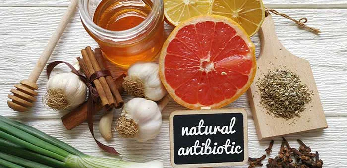natural antibiotics recommended by Ontario chiropractor