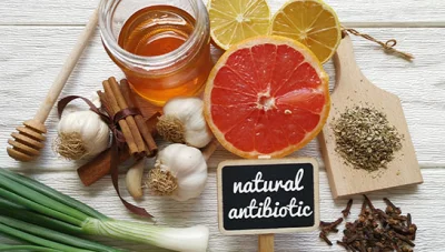 natural antibiotics recommended by Ontario chiropractor
