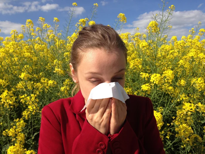 Chiropractor for allergies tips from Ontario chiropractor
