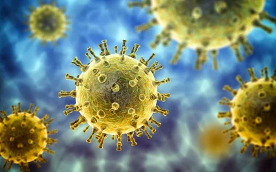 Corona Virus Update for Our Patients 3/13/2020 tips from Ontario chiropractor